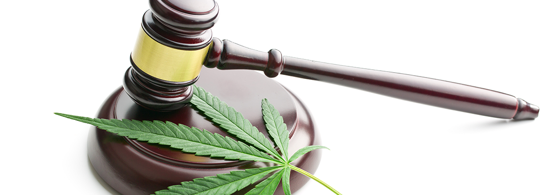 Cannabis Leaf and Judge Gavel on White Background