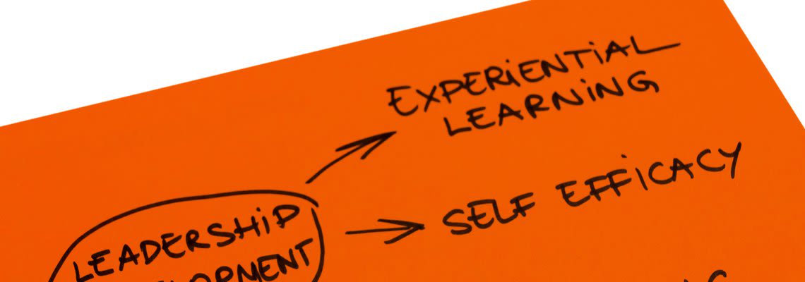 Leadership development flowchart