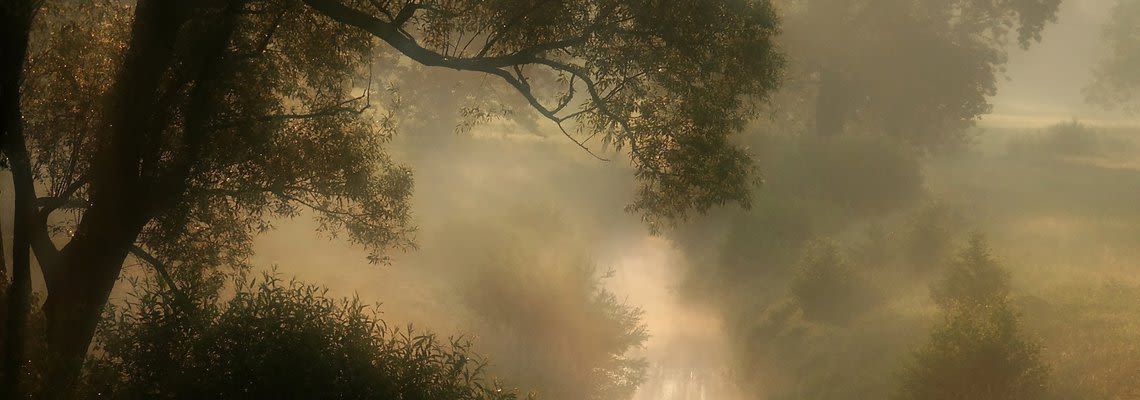 painting of a tree and sky