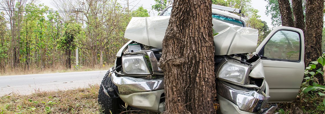 Car crashed on a tree