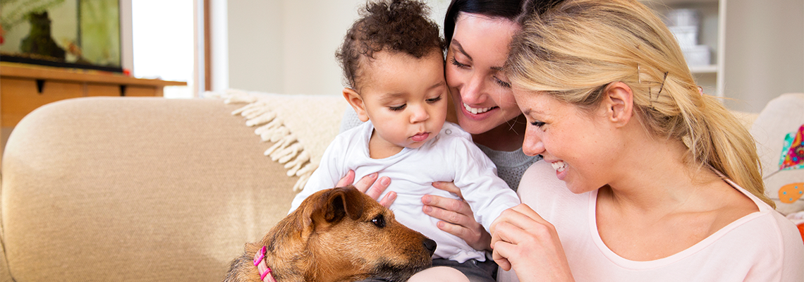 Same sex female couple sitting with their son and dog on the sofa