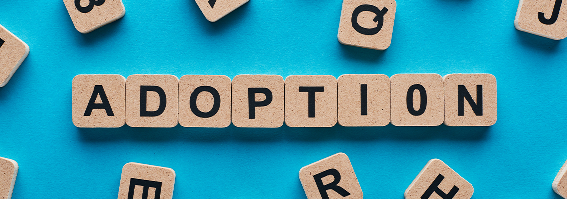 Top view of blocks with adoption lettering on blue background
