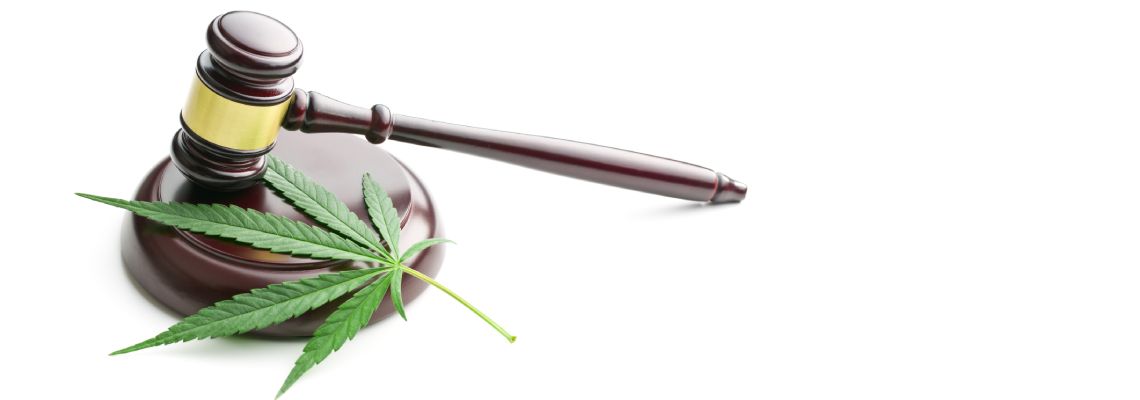 Marijuana Leaf and Gavel in white background