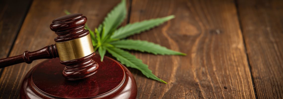 Marijuana leaf on wooden table with gavel