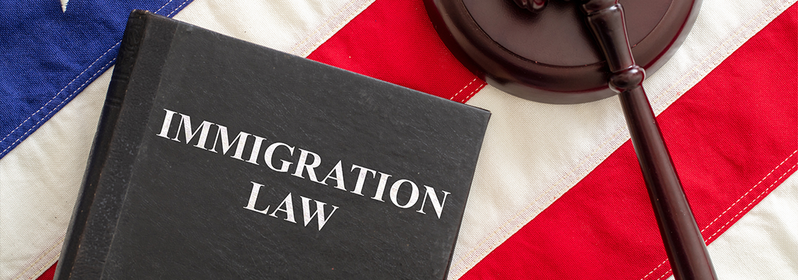 Judge gavel and Immigration Law book on United States of America flag