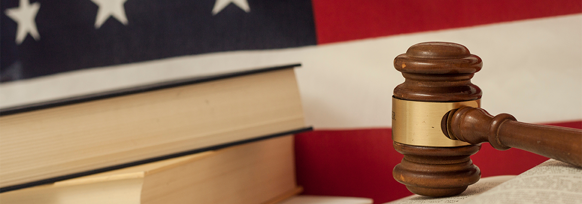 Gavel on immigration law book