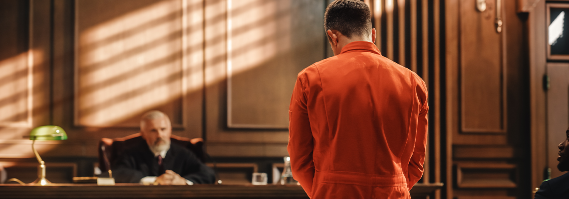 Court of Law and Justice Trial Proceedings