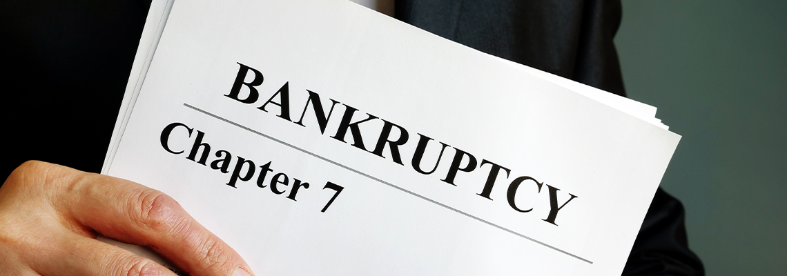 Bankruptcy Chapter 7 documents in the hands