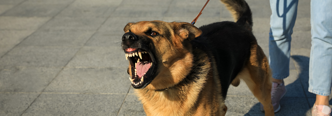 Woman with her aggressive dog outdoors
