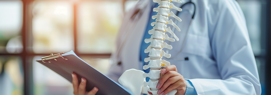 Doctor holding in hand a spine model