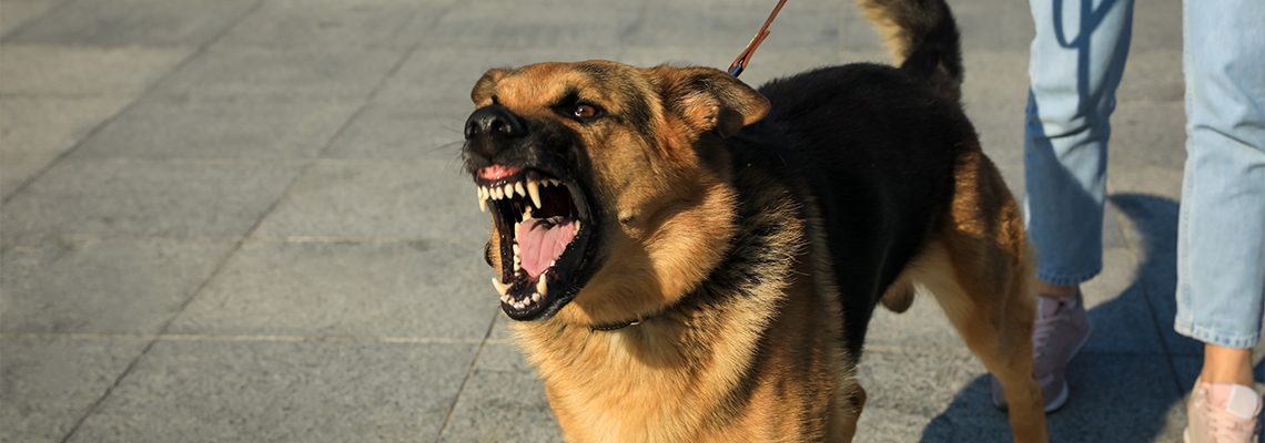 Woman with her aggressive dog outdoors