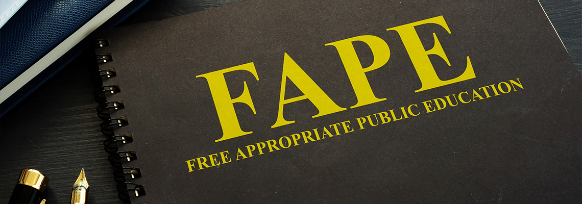 Free appropriate public education FAPE book on a desk
