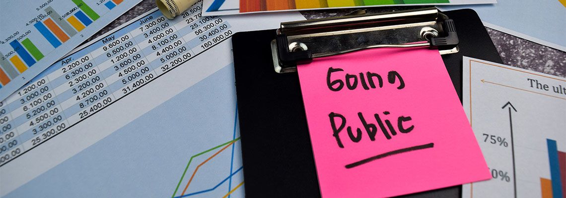 Going Public note on top of charts and data sheet