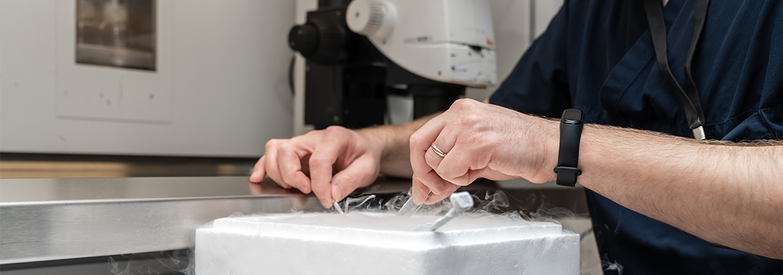 Embryologists a Liquid Nitrogen Bank Containing Sperm and Eggs Samples