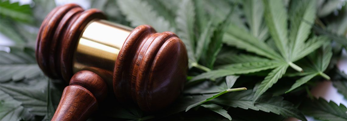 Gavel with marijuana leaf