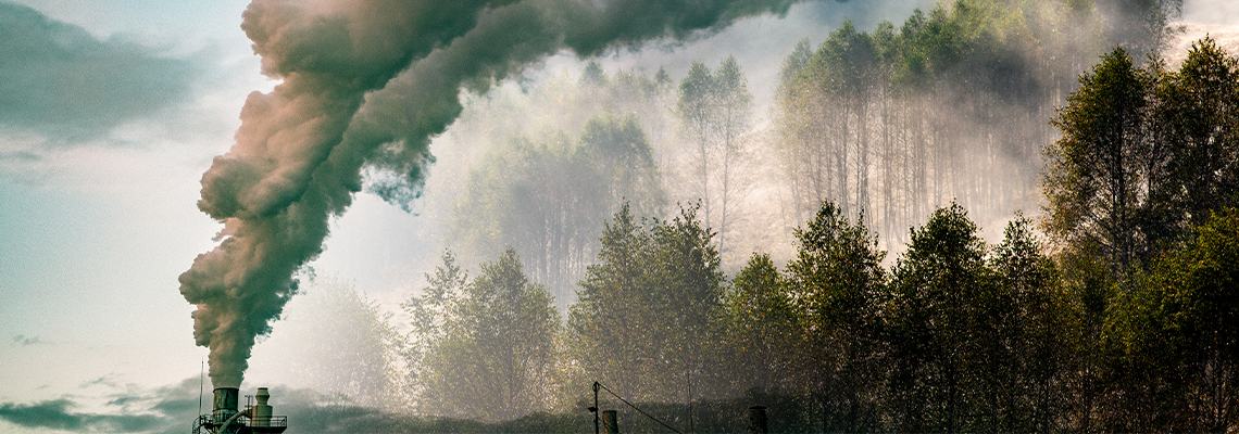 Factory Smoke Covering Green Forest