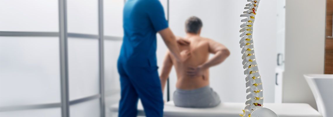 Spinal cord model and doctor examining back of patient