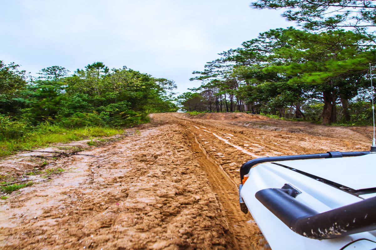 Understanding California Easements