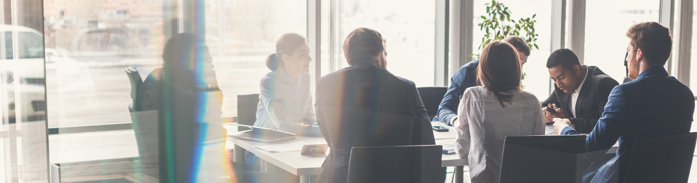 Professionals in a meeting around a table.
