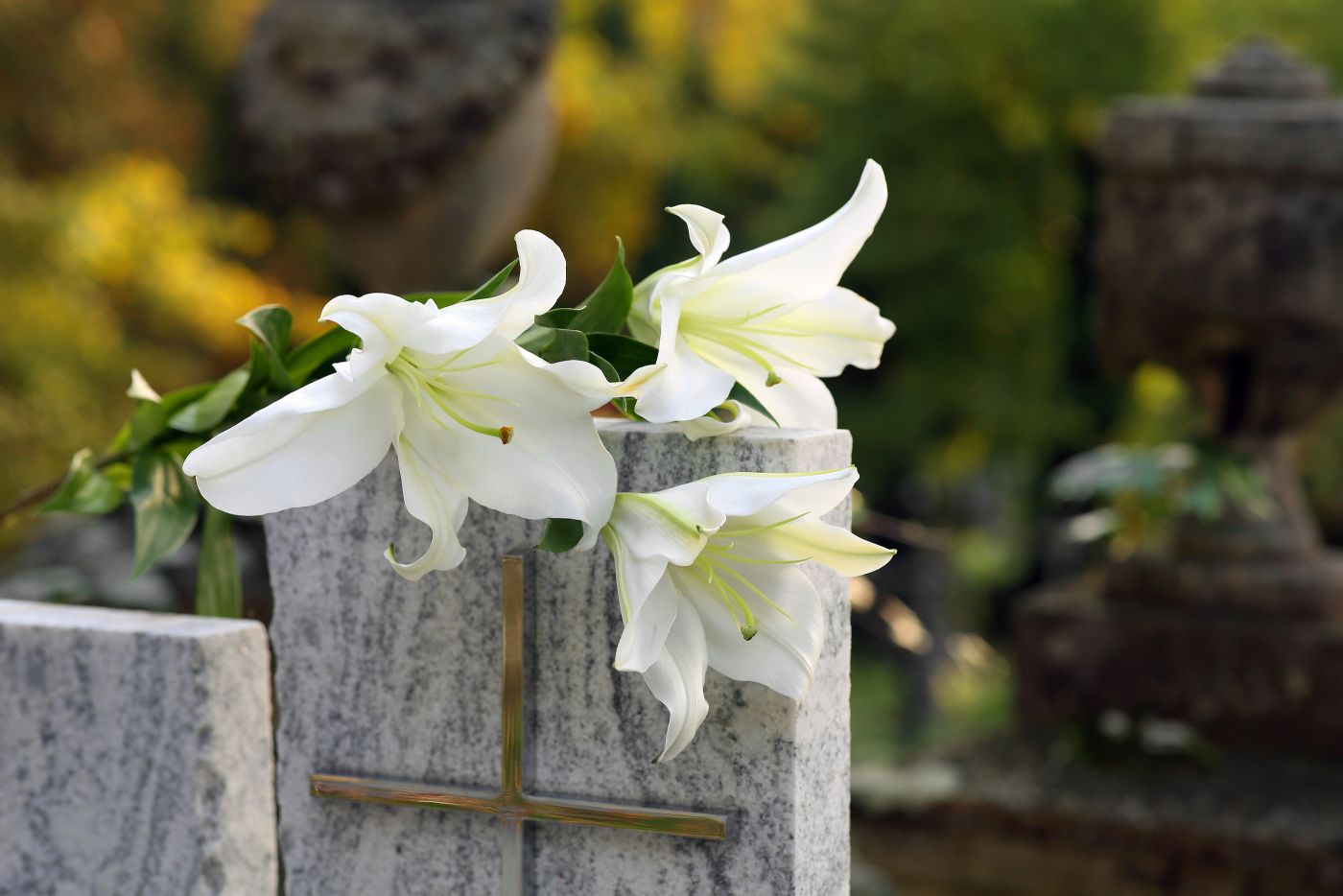 flowers on a stone