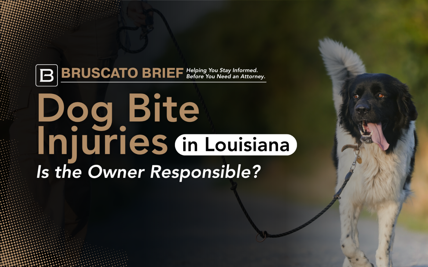 Dog Bite Injuries