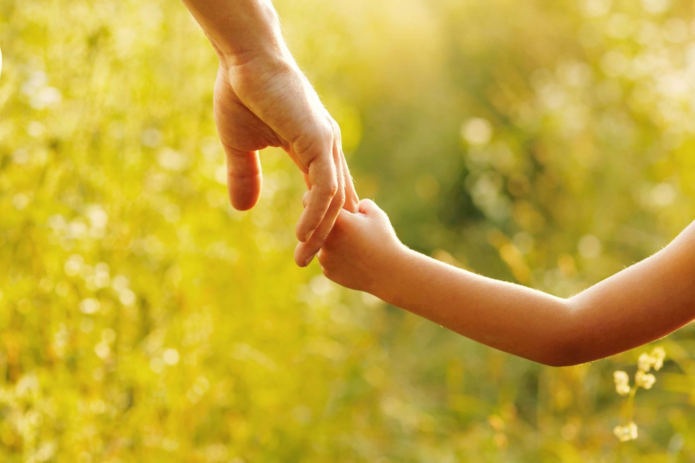 hand holding a child's hand