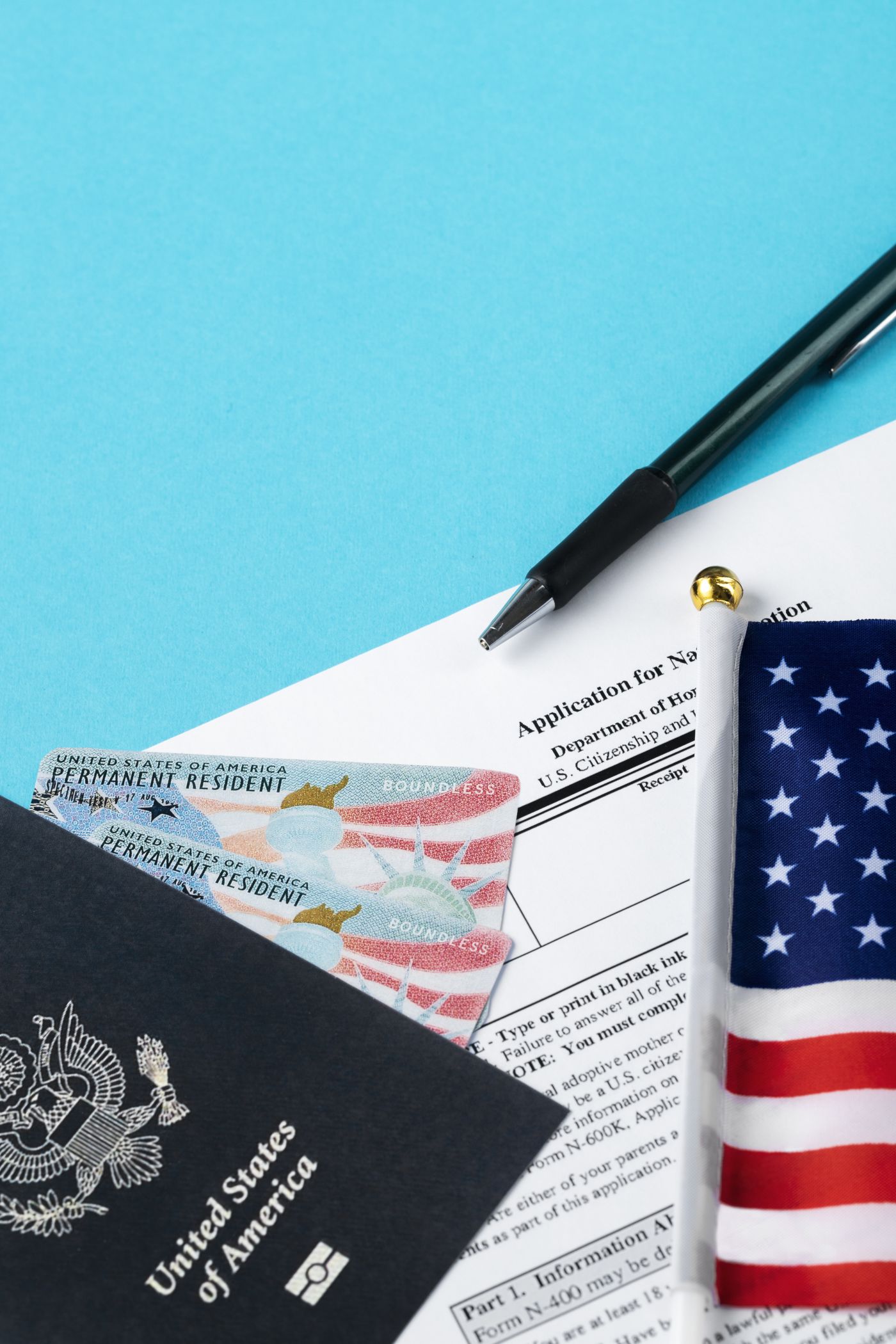 Naturalization Application