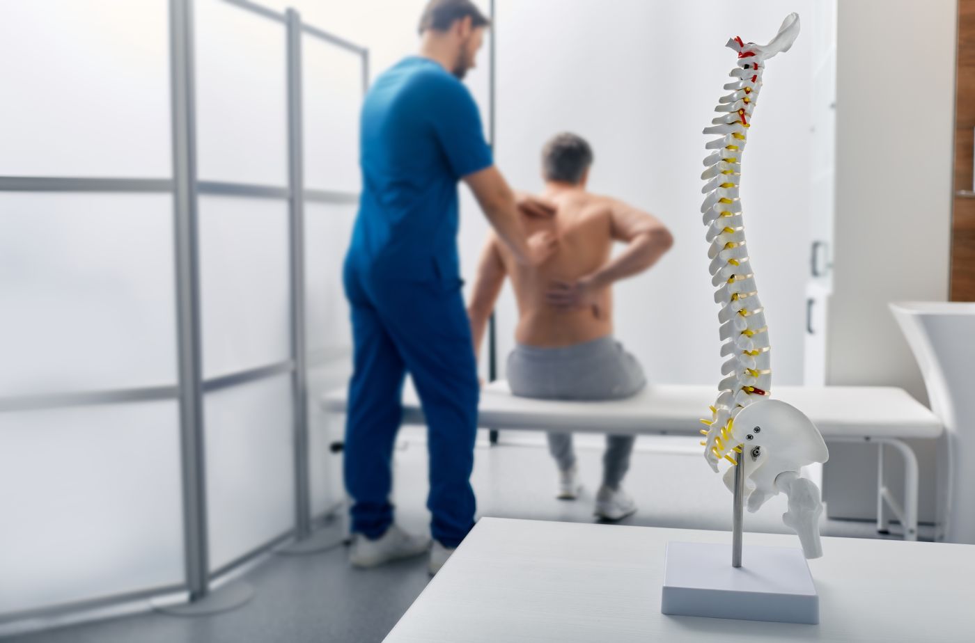 Spine model on table with physiotherapist treating a man