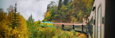 Train in colorful trees