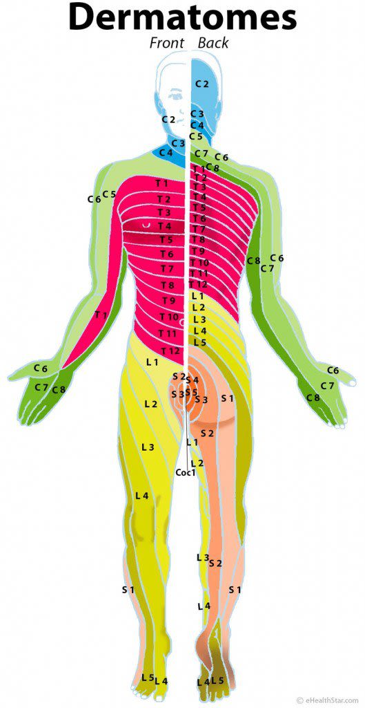 Spine Injury