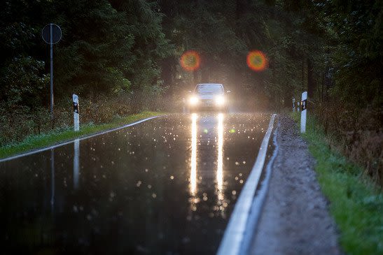 Wet Roadway