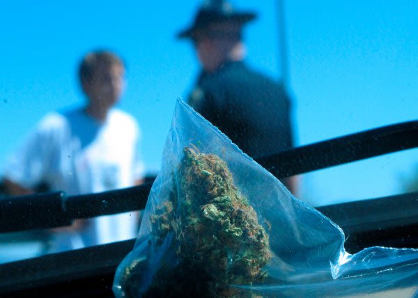 Man being arrested with marijuana in foreground