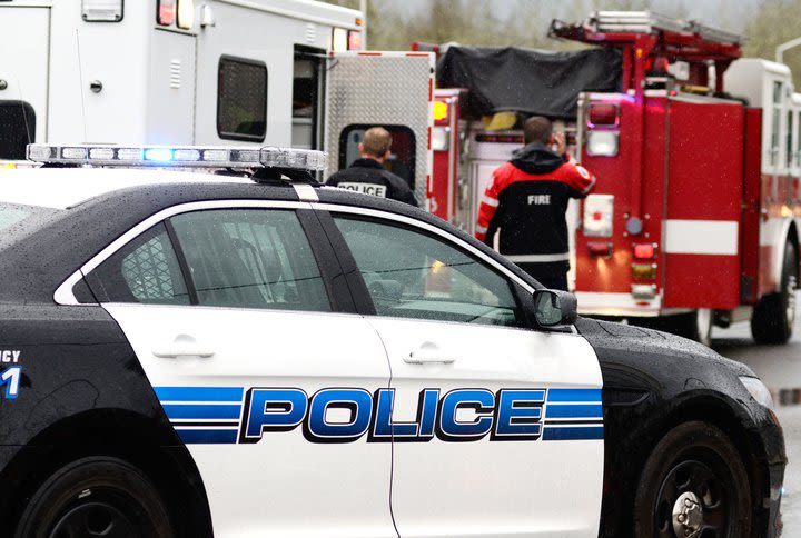 Police car and Firetruck