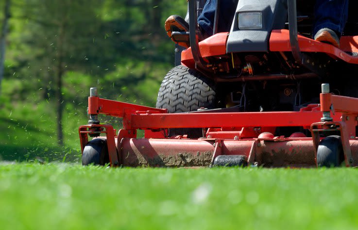 Lawn Mower cutting grass