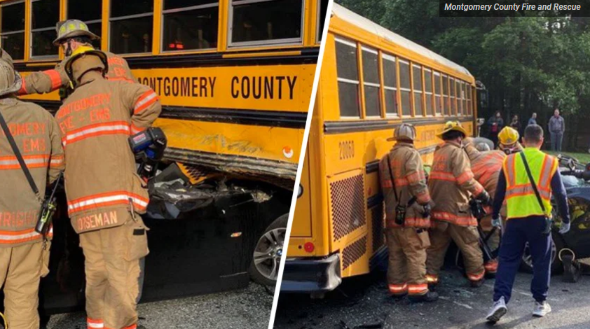 2-car crash leaves driver dead in Montgomery County