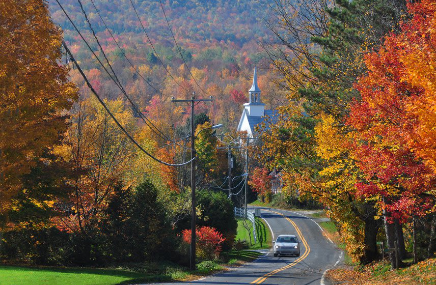 Roadway in the Autumn