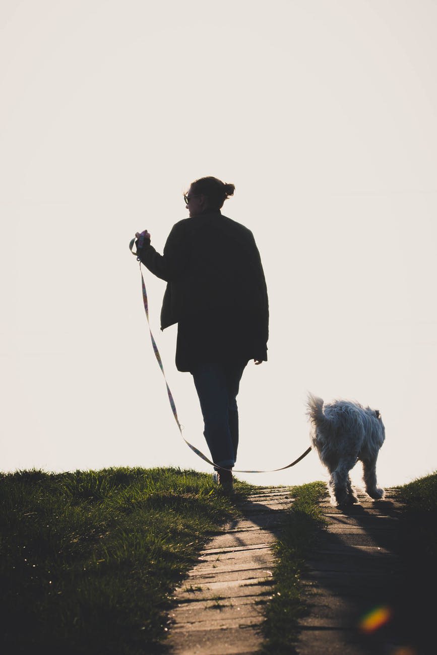 person walking dog