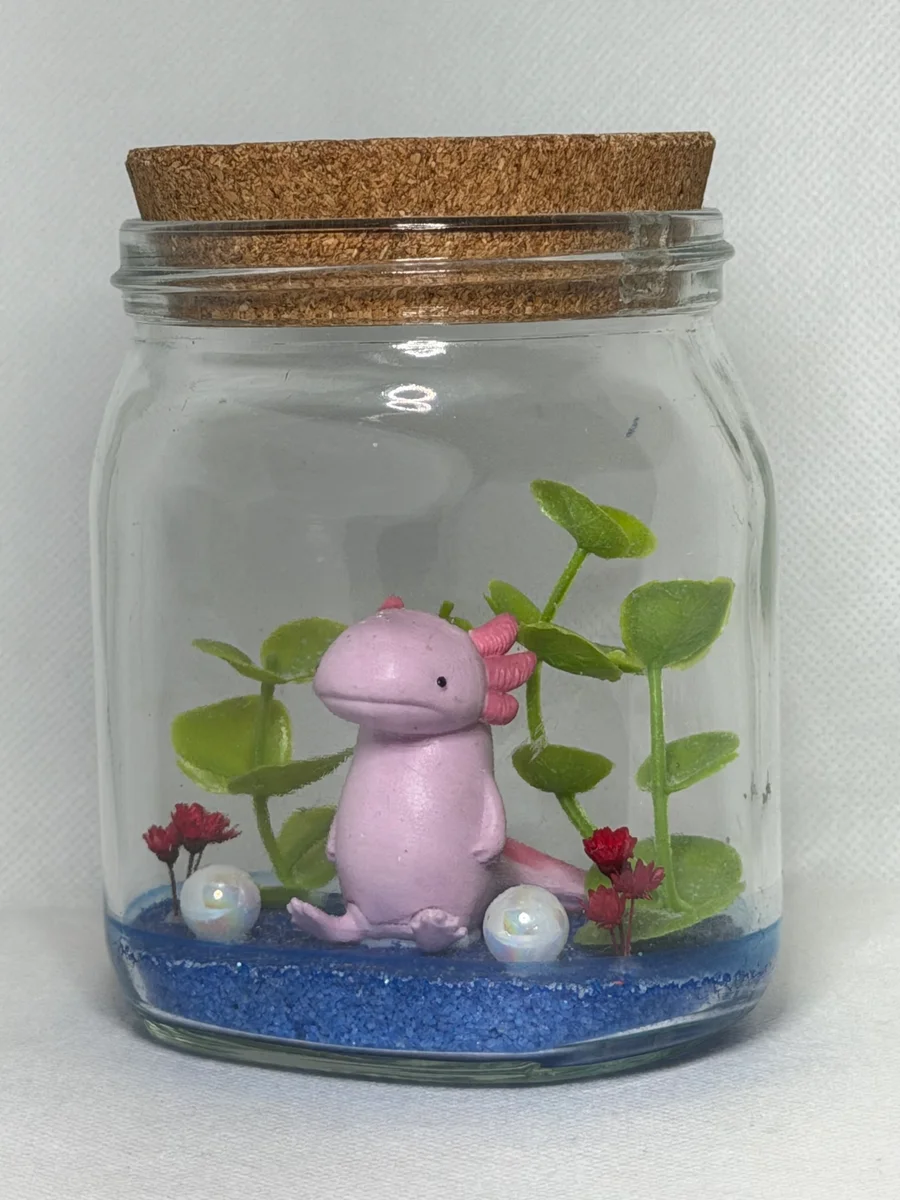 Foto de Mini Aquário de Axolote