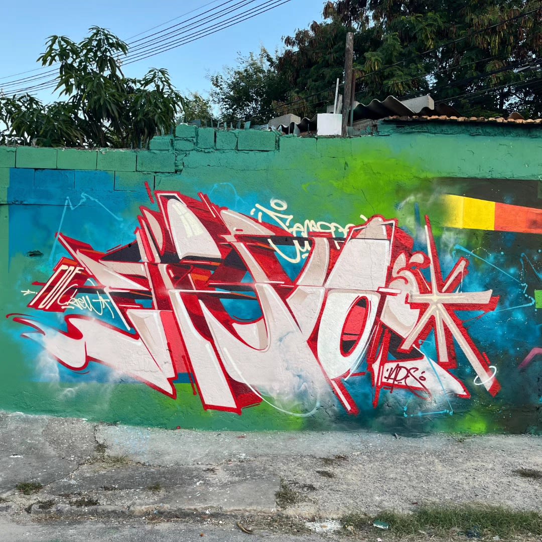 Obra BARKS NGS 9