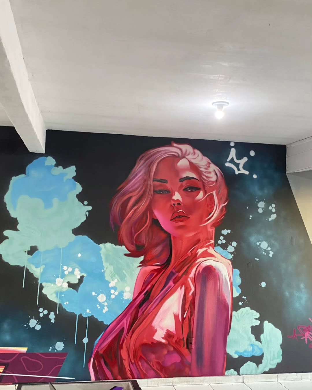 Obra BARKS NGS 6