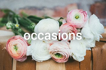 The Gravesend Florist