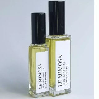 Datura Parfums Le Mimosa EDP