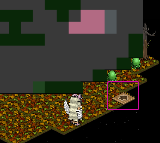 Enter the arrow room switcher