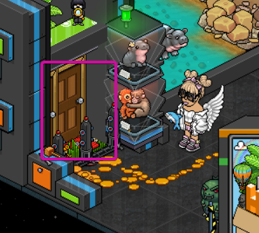 Enter the teleporter