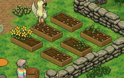 Planting the seeds