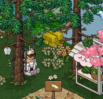 Win some Coins?