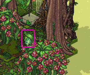 Jungle Room