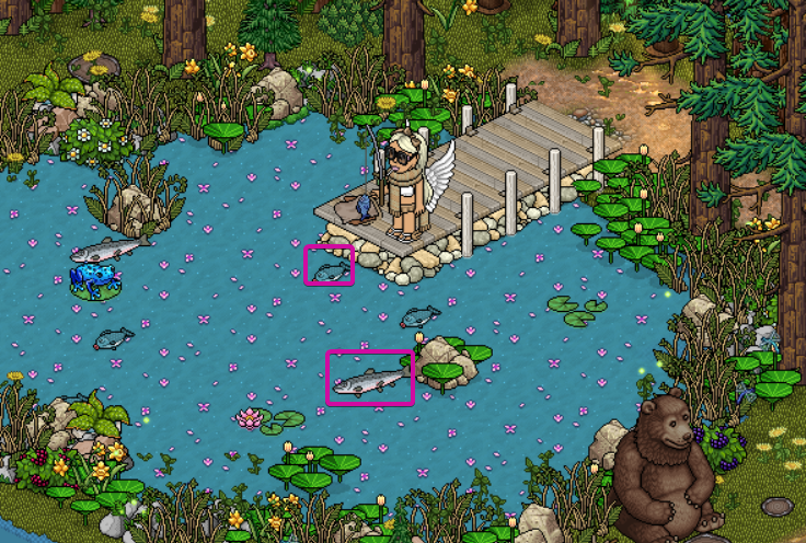 Fishing Pond