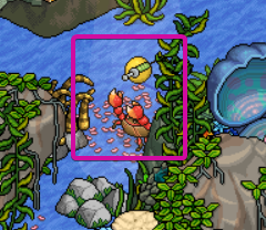 Step 8