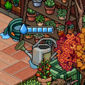 Step 8